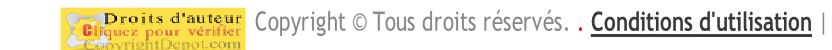Copyright © Tous droits réservés. . Conditions d'utilisation |